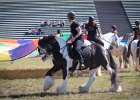 Pferd International 015